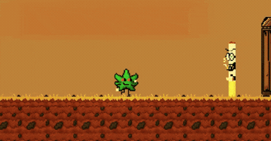 calebzepeda  GIF