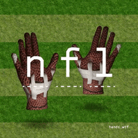 nfl GIF by hands.wtf