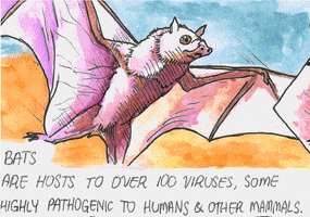 jessehawley  GIF