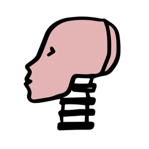 IIHS-HLDI Sticker