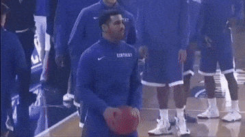 Kentucky Wildcats Drake GIF
