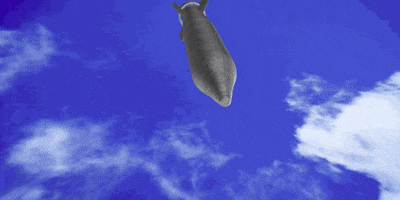 alexanderlockie  GIF