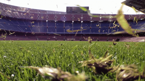 GIF by FC Barcelona - Find & Share on GIPHY