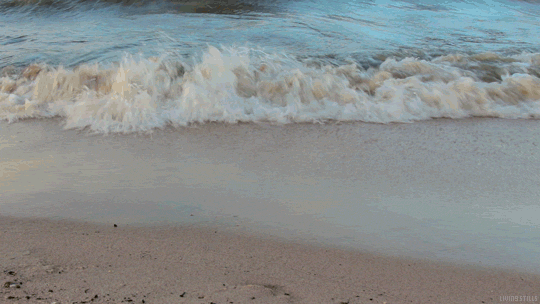 beach waves GIF by Living Stills