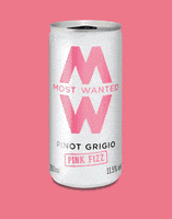 Party Festival GIF by Most Wanted Wines