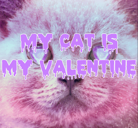 Valentines Day GIF - Find &amp; Share on GIPHY