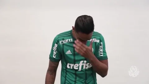 felicidade engraÃ§ado GIF by SE Palmeiras
