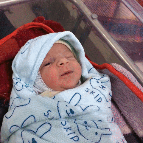 #Msf #Babies GIF