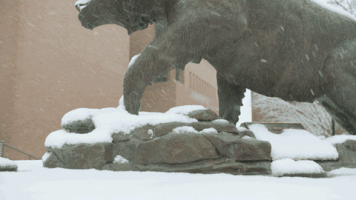 200.gif?cid=fc005b087cfefb541ed84e6821e2223aa20678e825e1c17d&rid=200.gif&ct=g