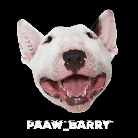PAAW House GIF