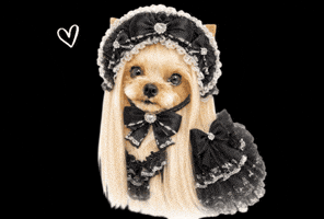 Yorkshire Terrier Love GIF