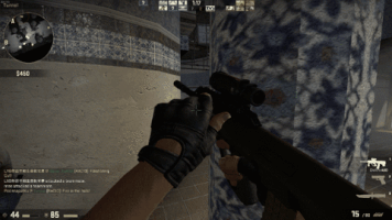 pazelloxu csgo GIF