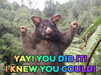 Omg Did It Break Gifs Get The Best Gif On Giphy Omg Did It Break Gifs Get The Best Gif On Giphy