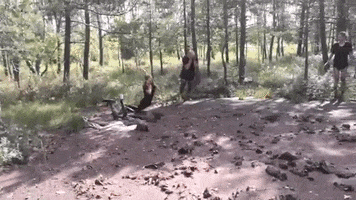 Przystanek Przygoda GIF