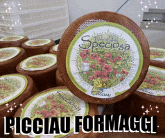 PicciauFormaggi GIF