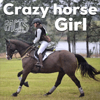 Freerideequestrian GIF