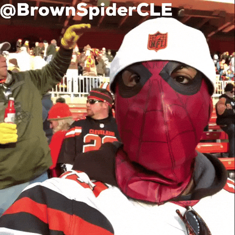 Brownspidercle GIF