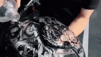 Animated GIF