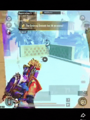Animated GIF