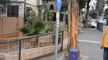 Dj Tom Bar Gal GIF