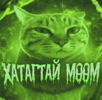 Mongolia Muum GIF