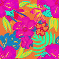 Midnight Sun Summer GIF by Daisy Lemon