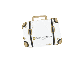 Travel Paris Sticker by ShangriLaParis