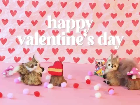 Valentines Day Fox GIF