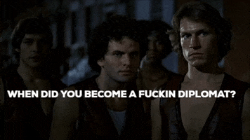 The Warriors GIF