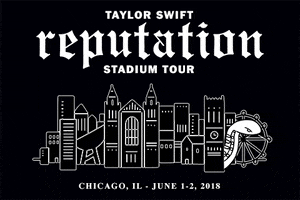 Reputation Stadium Tour Chicago GIF by Taylor Swift