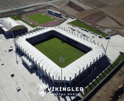 Van Viking GIF