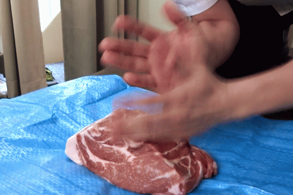 meat-pussy-gif