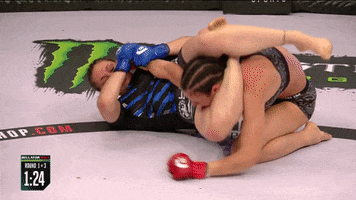 stop it mixed martial arts GIF by Bellator