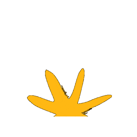 Women & Gender Consituency Sticker