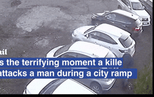 Animated GIF