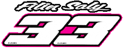 Team Flamingo Sticker by SMD Graphics