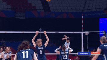 Jump Wow GIF by Volleyball World