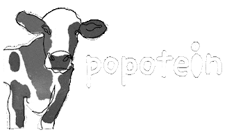 Cow Sticker