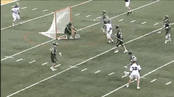 americaeast  GIF