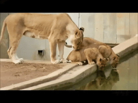 time bath GIF