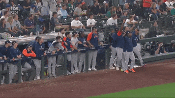 Excited Baseball GIF by MLB