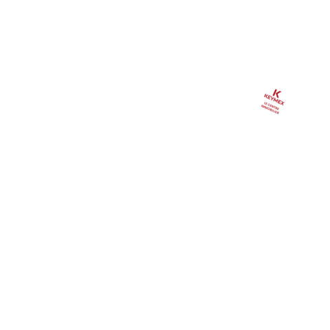 Centreimmobilier Sticker by Keymex Immobilier Vendée