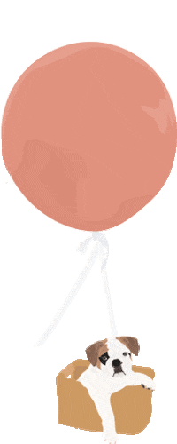 Fig Balloon Co Sticker