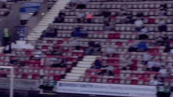 Fans Crowd GIF by Dunfermline Athletic Football Club