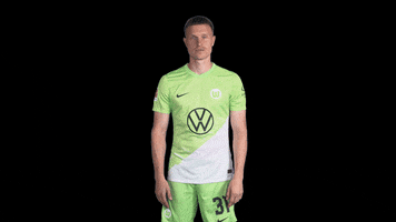 Germany Deal With It GIF by VfL Wolfsburg