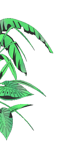 Francofolies de la Réunion Sticker