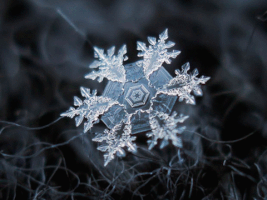 snowflakes GIF