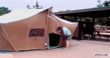 Image result for tent building gif
