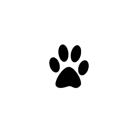 Dogs Wolf Sticker by Wolves of the Rockies