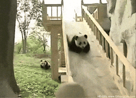200.gif